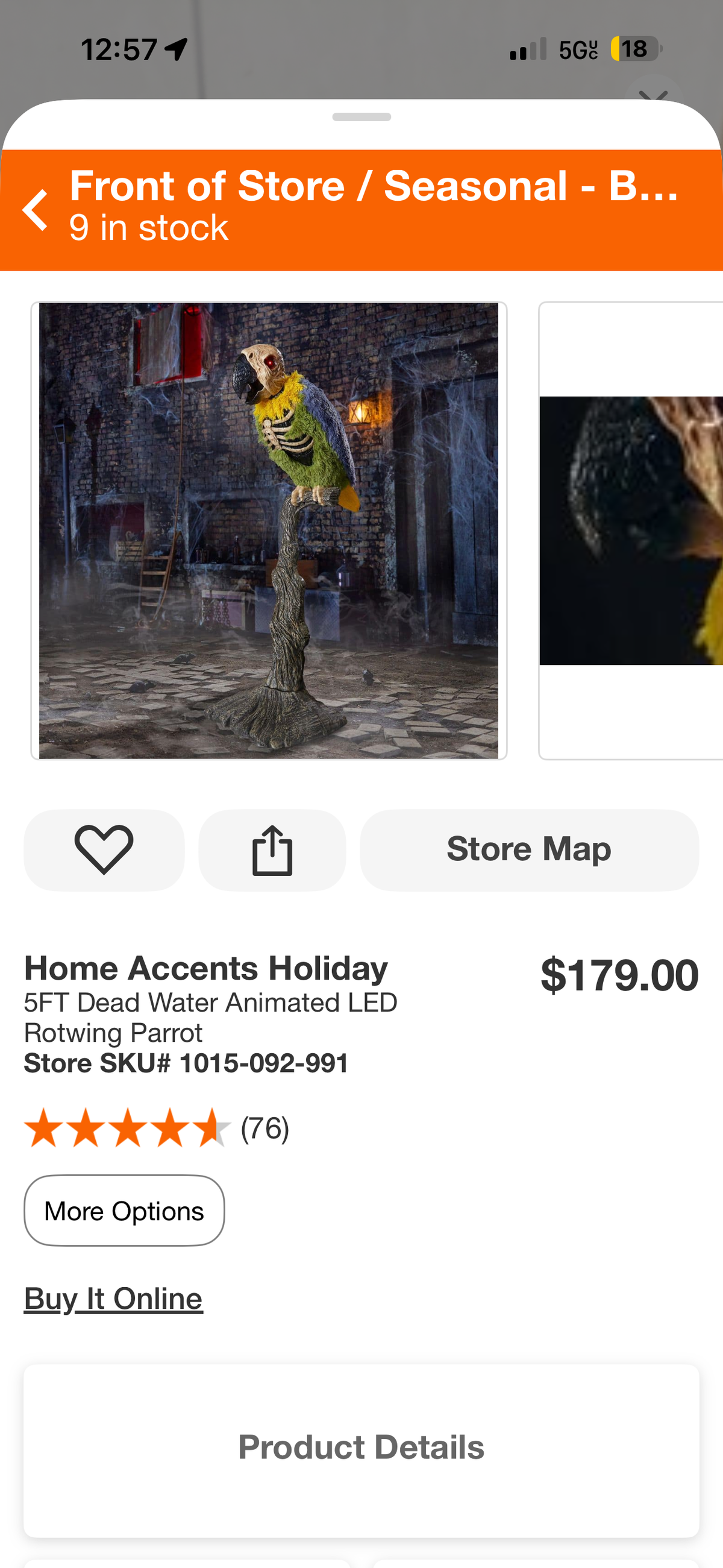 Home Accents Holiday 5ft Dead Water Animated LED Rotwing Parrot