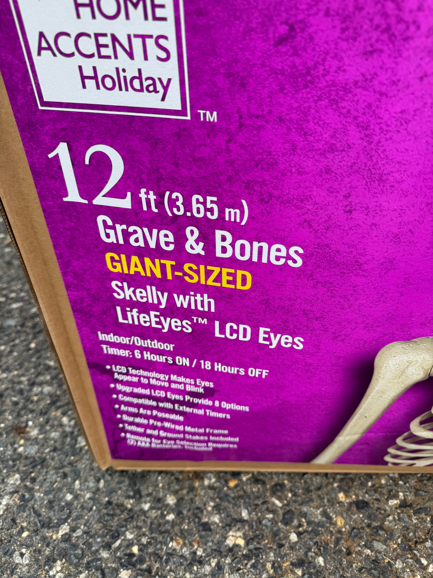 Home Accents Holiday 12ft Giant-Sized Skelly w/LCD Eyes