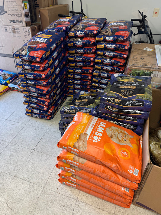 Dog & Cat Food (READ DESCRIPTION)
