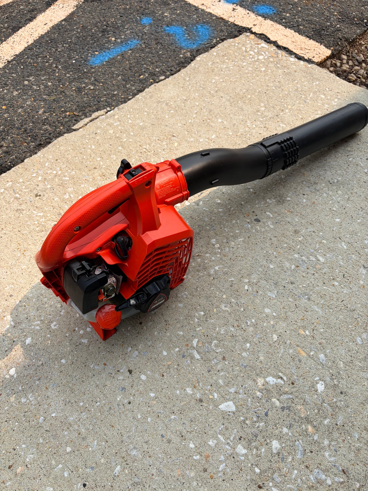 Echo PB-2520 170 MPH 2-Stroke Gas Blower