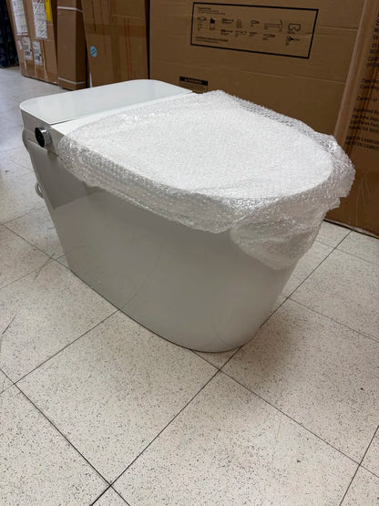 Eridanus Piedmont Elongated Bidet Toilet