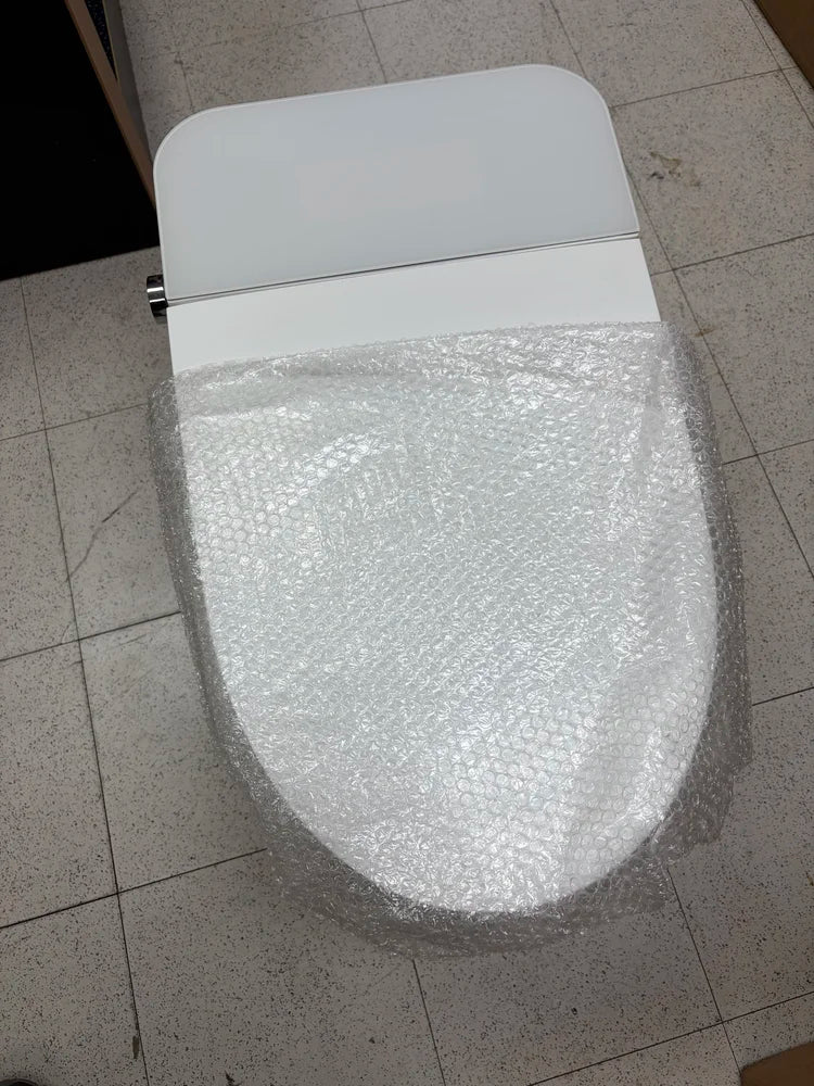 Eridanus Piedmont Elongated Bidet Toilet