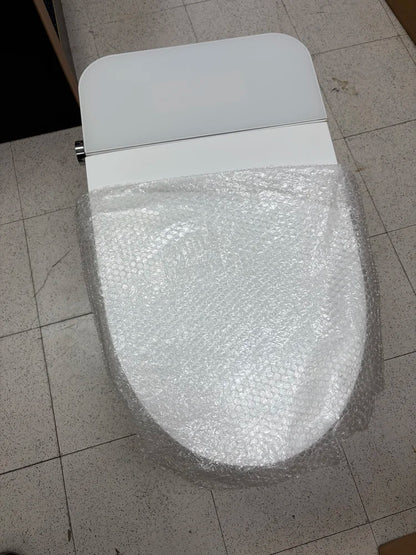 Eridanus Piedmont Elongated Bidet Toilet