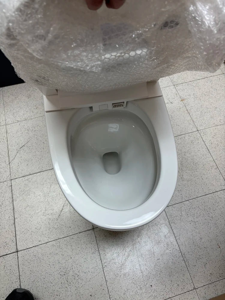 Eridanus Piedmont Elongated Bidet Toilet