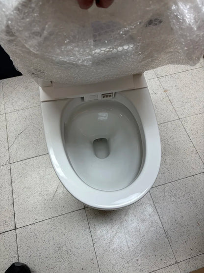 Eridanus Piedmont Elongated Bidet Toilet